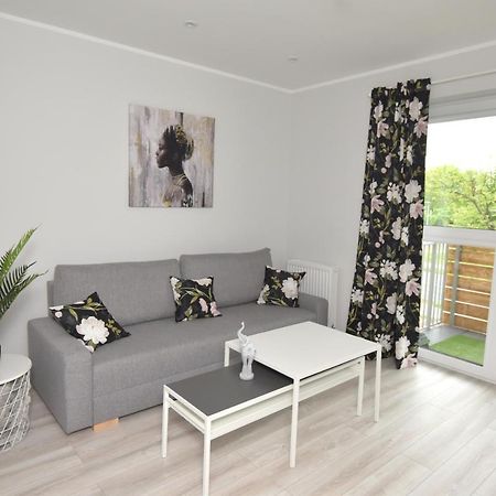 Dreamer Apartment Stary Toruń Εξωτερικό φωτογραφία